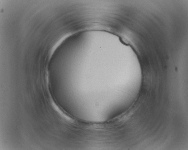 X0000067951476200604272047