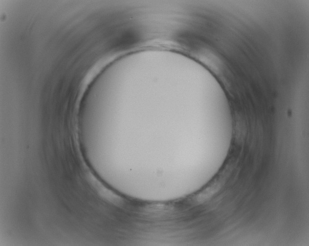 X0000067951478200604272047