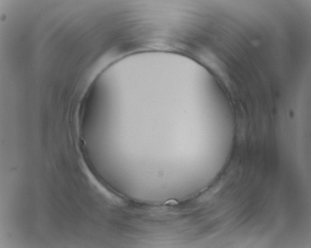 X0000067951479200604272047