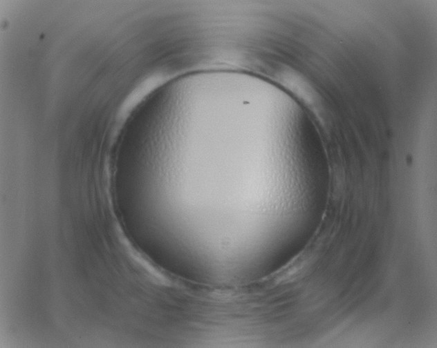 X0000067951480200604272047