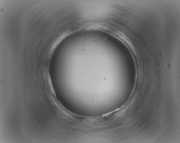 X0000067951481200604272047