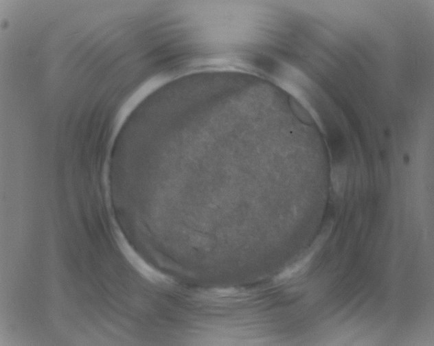 X0000067951482200604272047