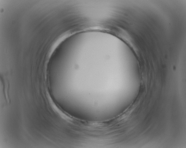 X0000067951483200604272047