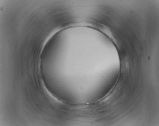 X0000067951484200604272047