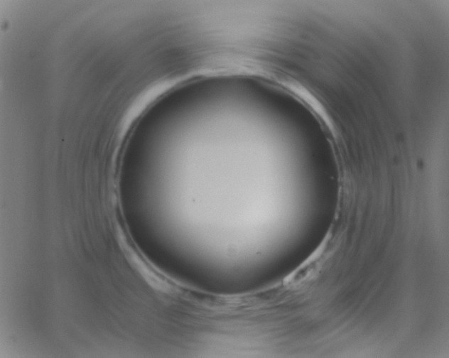 X0000067951485200604272047