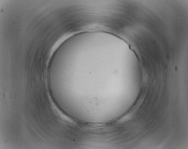 X0000067951486200604272047