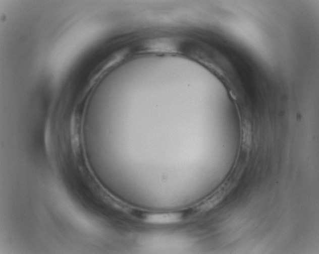 X0000067951487200604272047