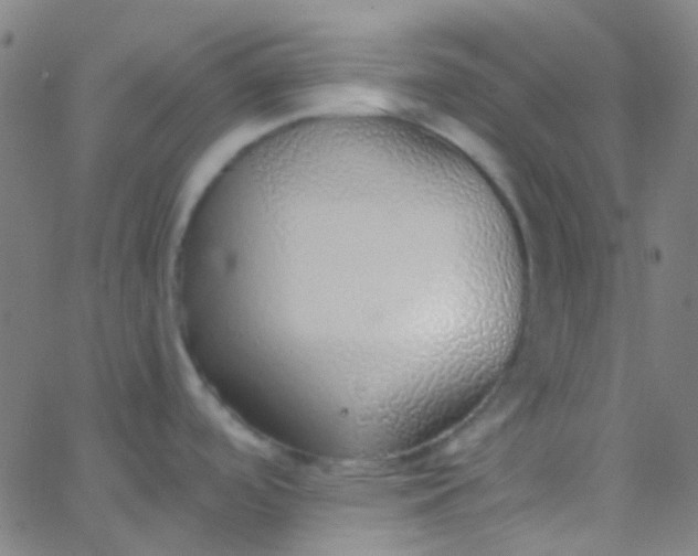 X0000067951488200604272047