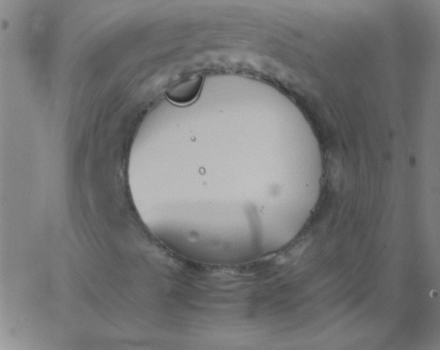 X0000067951489200604272046