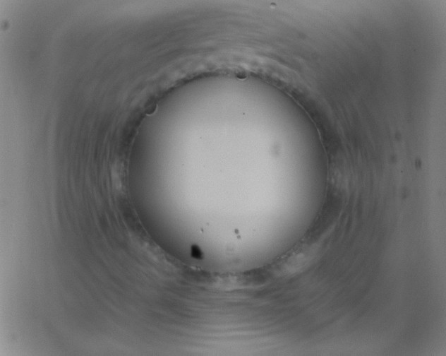 X0000067951490200604272046