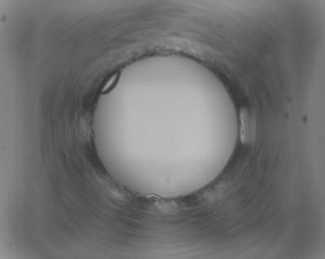 X0000067951491200604272046