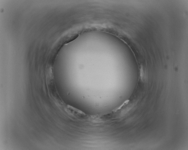 X0000067951492200604272046