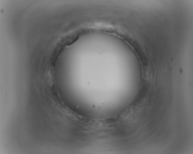 X0000067951493200604272046