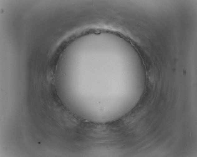 X0000067951495200604272046