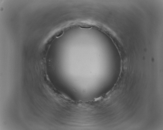 X0000067951496200604272046