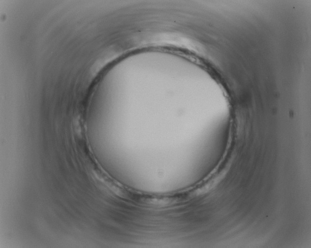 X0000067951497200604272046