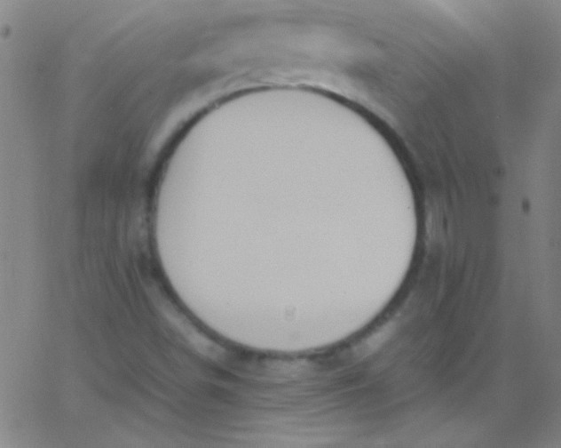 X0000067951498200604272046