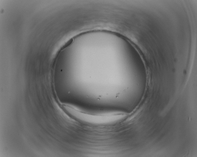 X0000067951500200604272046