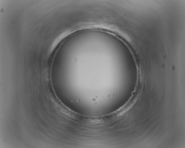 X0000067951501200604272046