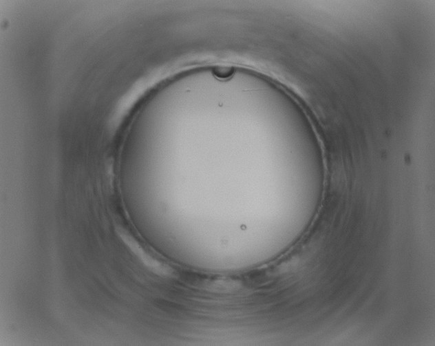 X0000067951503200604272046