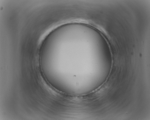 X0000067951504200604272046