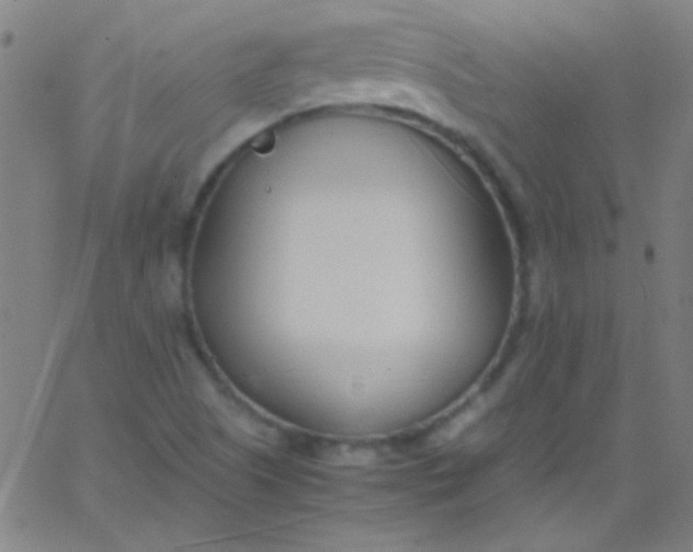 X0000067951505200604272046