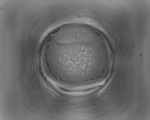 X0000067951506200604272046