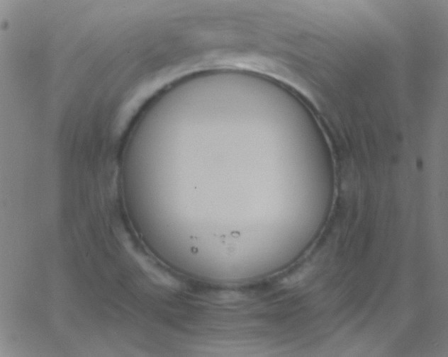 X0000067951507200604272046