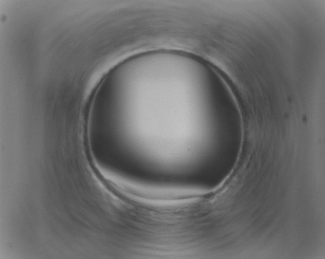 X0000067951508200604272046