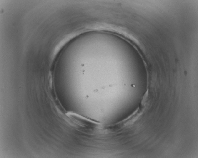 X0000067951509200604272046