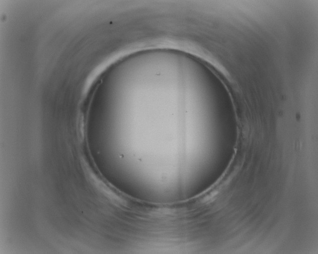 X0000067951510200604272046