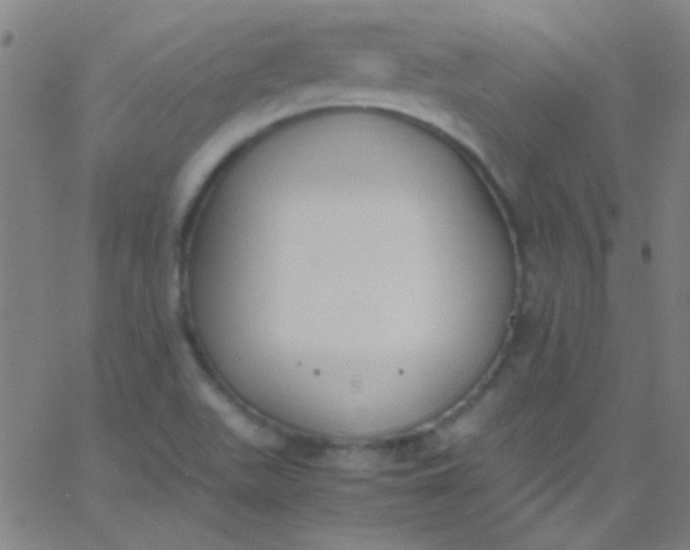 X0000067951511200604272046