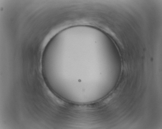 X0000067951512200604272046