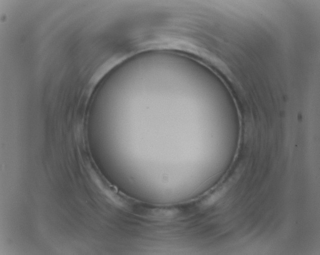 X0000067951513200604272046