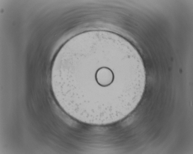 X0000067951514200604272046