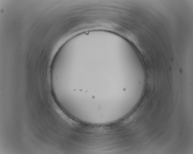 X0000067951516200604272046