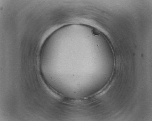 X0000067951517200604272046