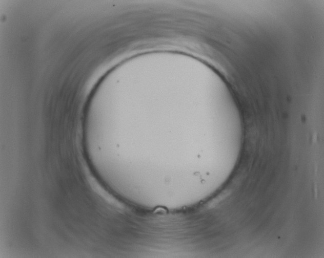 X0000067951518200604272046