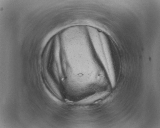 X0000067951519200604272046