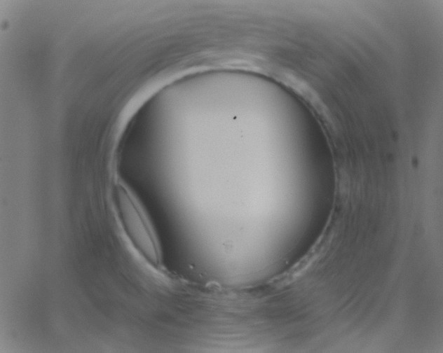 X0000067951520200604272046