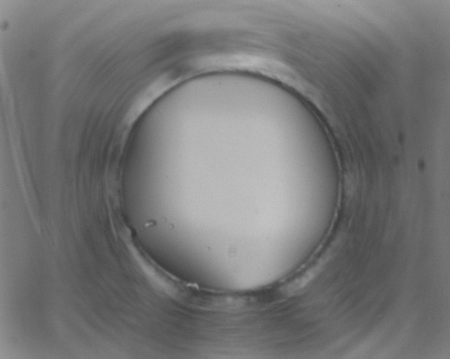 X0000067951521200604272046