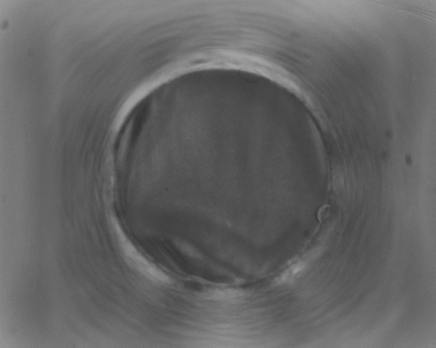 X0000067951522200604272046