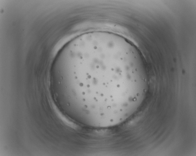 X0000067951523200604272046