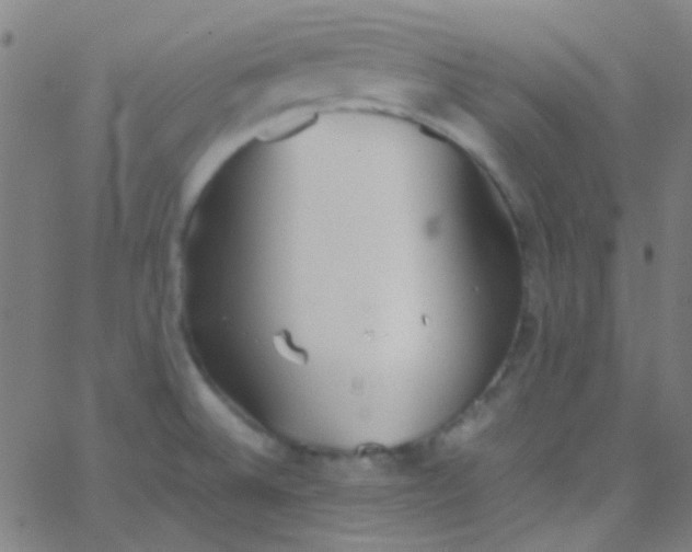 X0000067951524200604272046