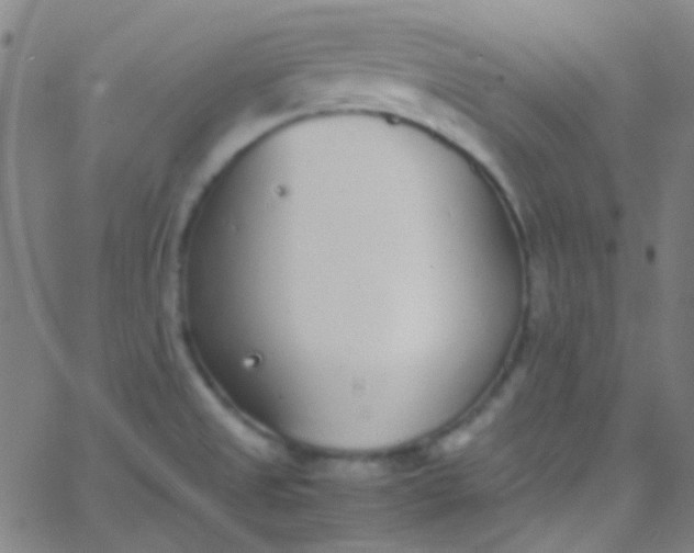 X0000067951525200604272046