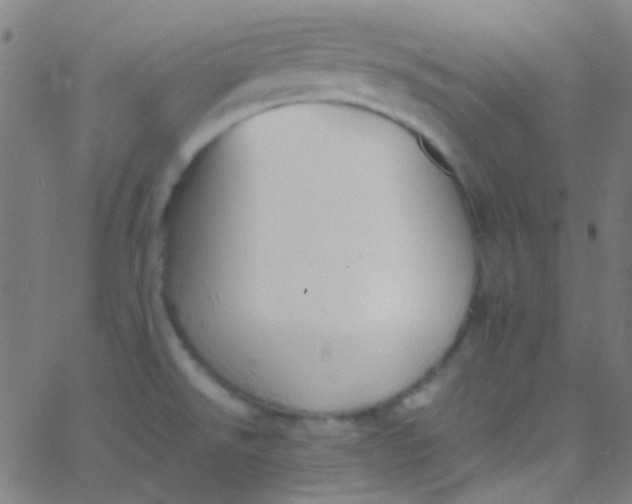 X0000067951526200604272046