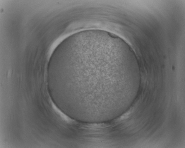 X0000067951527200604272046