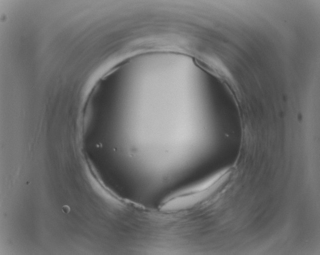 X0000067951528200604272046