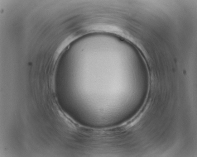 X0000067951529200604272046