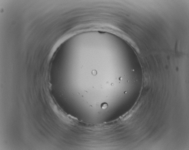 X0000067951530200604272046